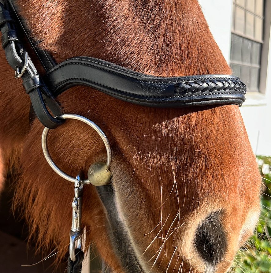 PH deluxe næserem engelsk anatomic braid - Aríus Icehorse Line