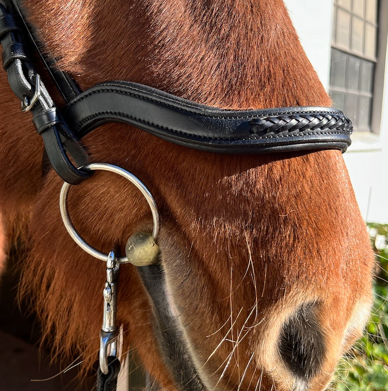 PH deluxe noseband English anatomical braid