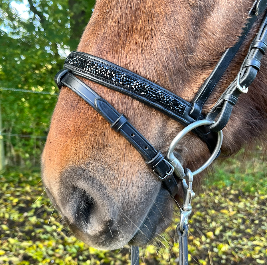 PH deluxe kombineret næserem rockcrystal black - Aríus Icehorse Line