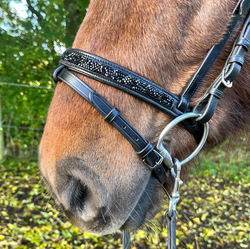 PH deluxe combined nose strap rock crystal black