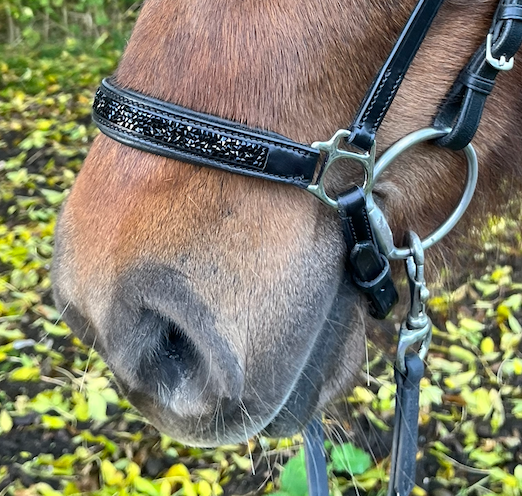 PH deluxe hannoveransk næserem rockcrystal black - Aríus Icehorse Line