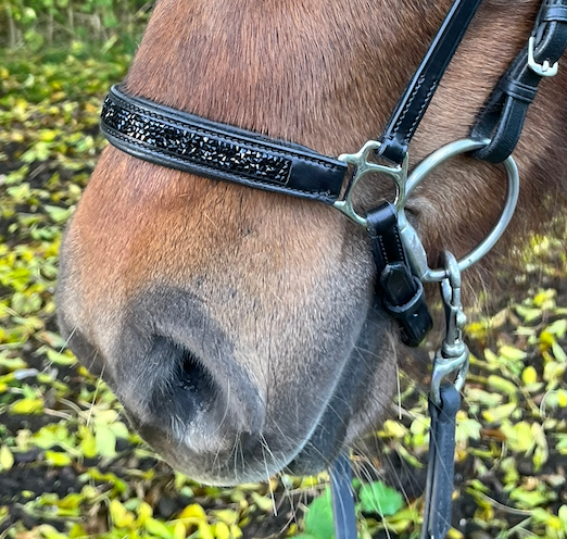 PH deluxe Hanoverian nose strap rock crystal black