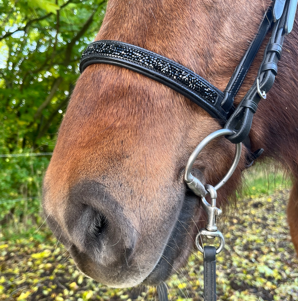 PH deluxe English nose strap rock crystal black