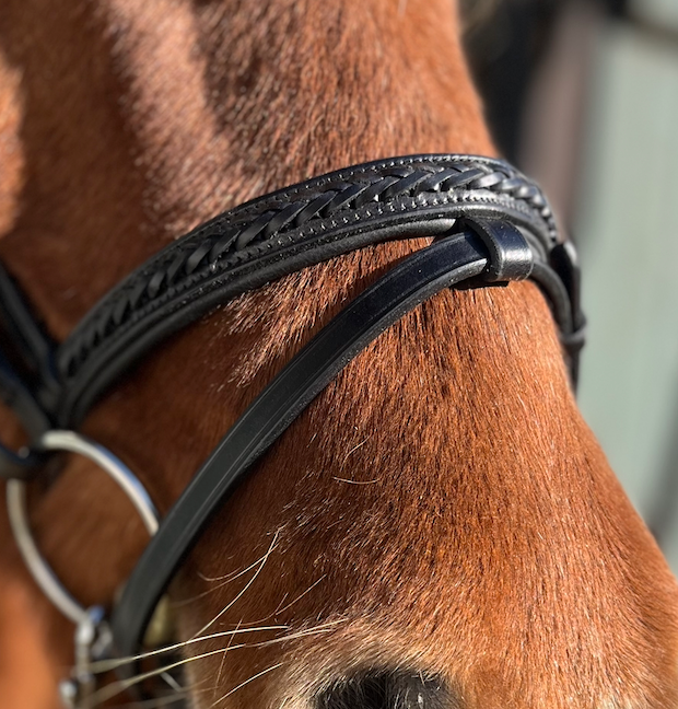 PH deluxe kombineret næserem braid exclusive - Aríus Icehorse Line