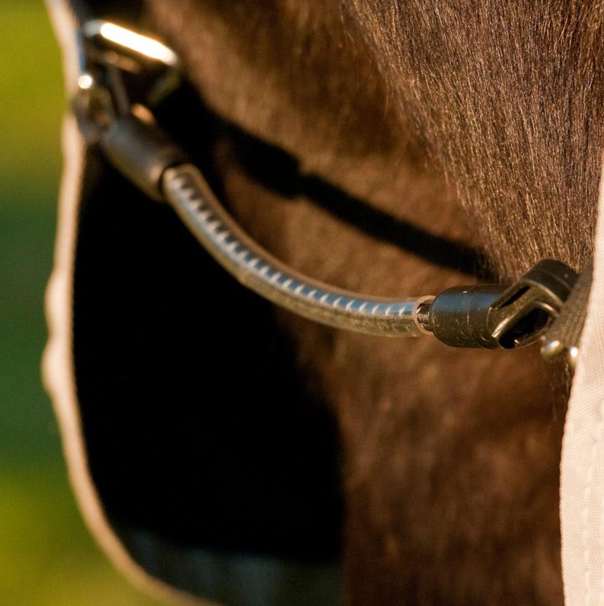 HORSEWARE RAMBO ICELANDIC 200 GRAMS VINTERDÆKKEN - Aríus