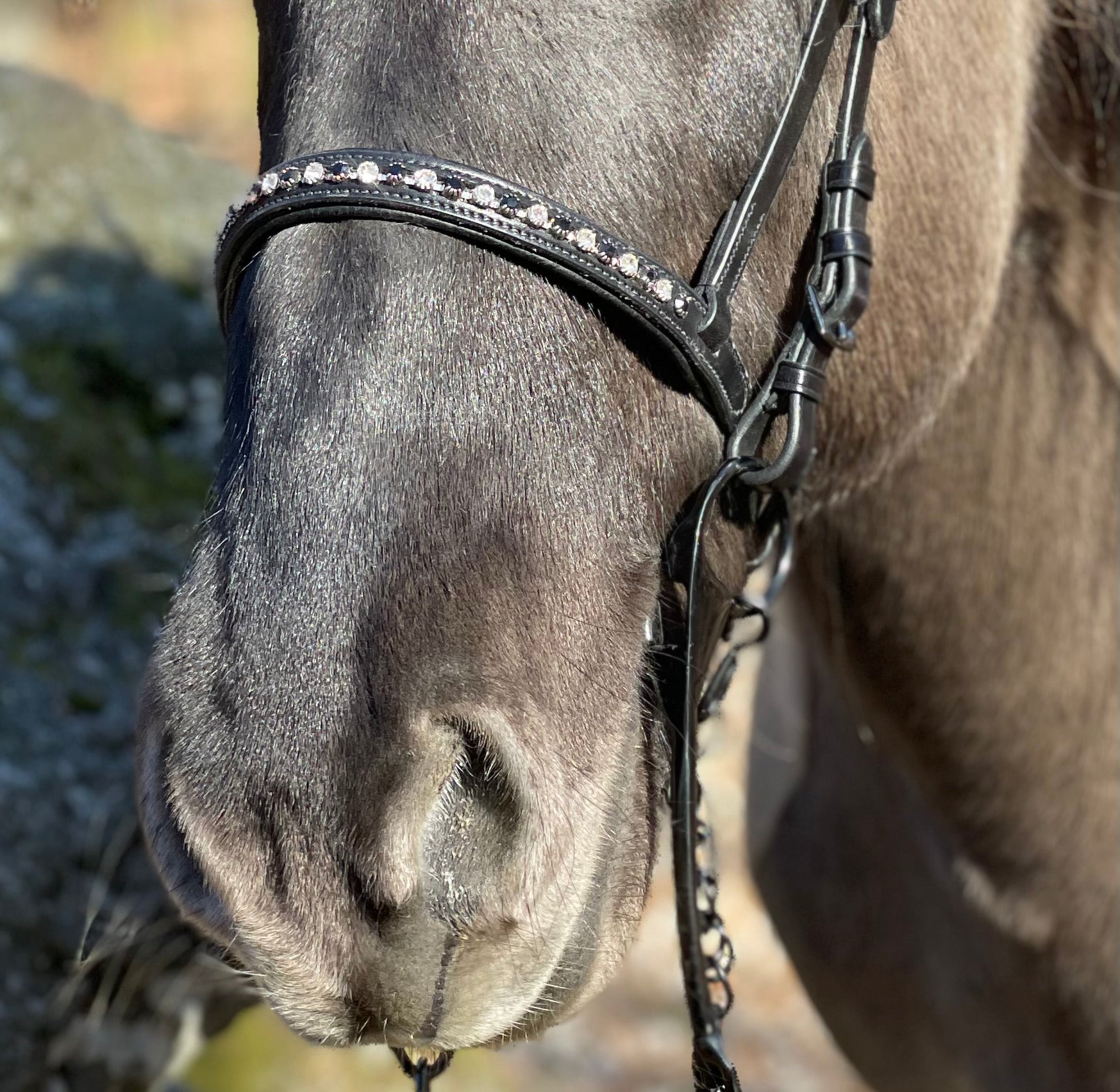 PH deluxe engelsk næserem “diamond black&white” - Aríus