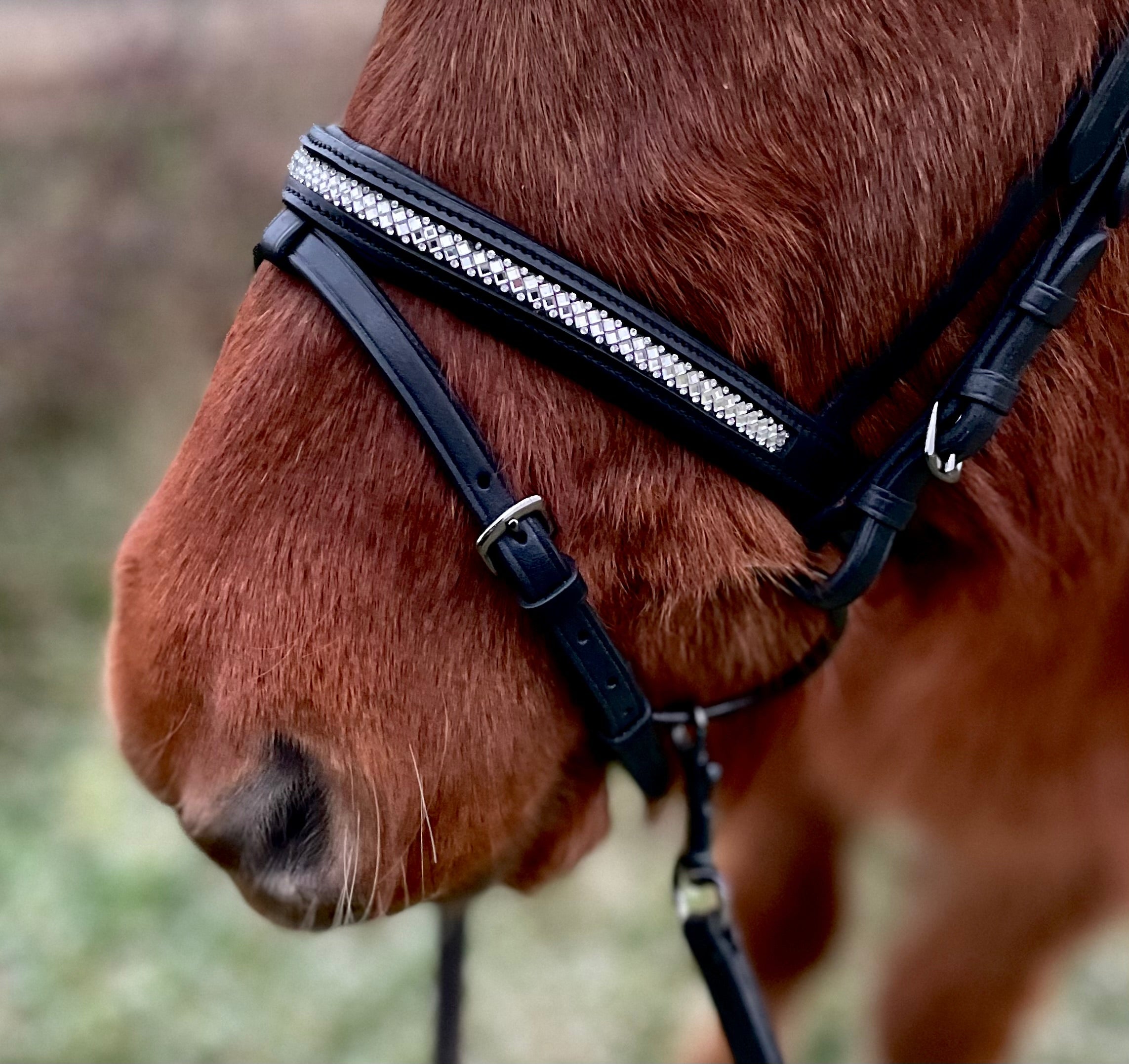 PH deluxe kombineret næsebånd diamond glitter - Aríus Icehorse Line