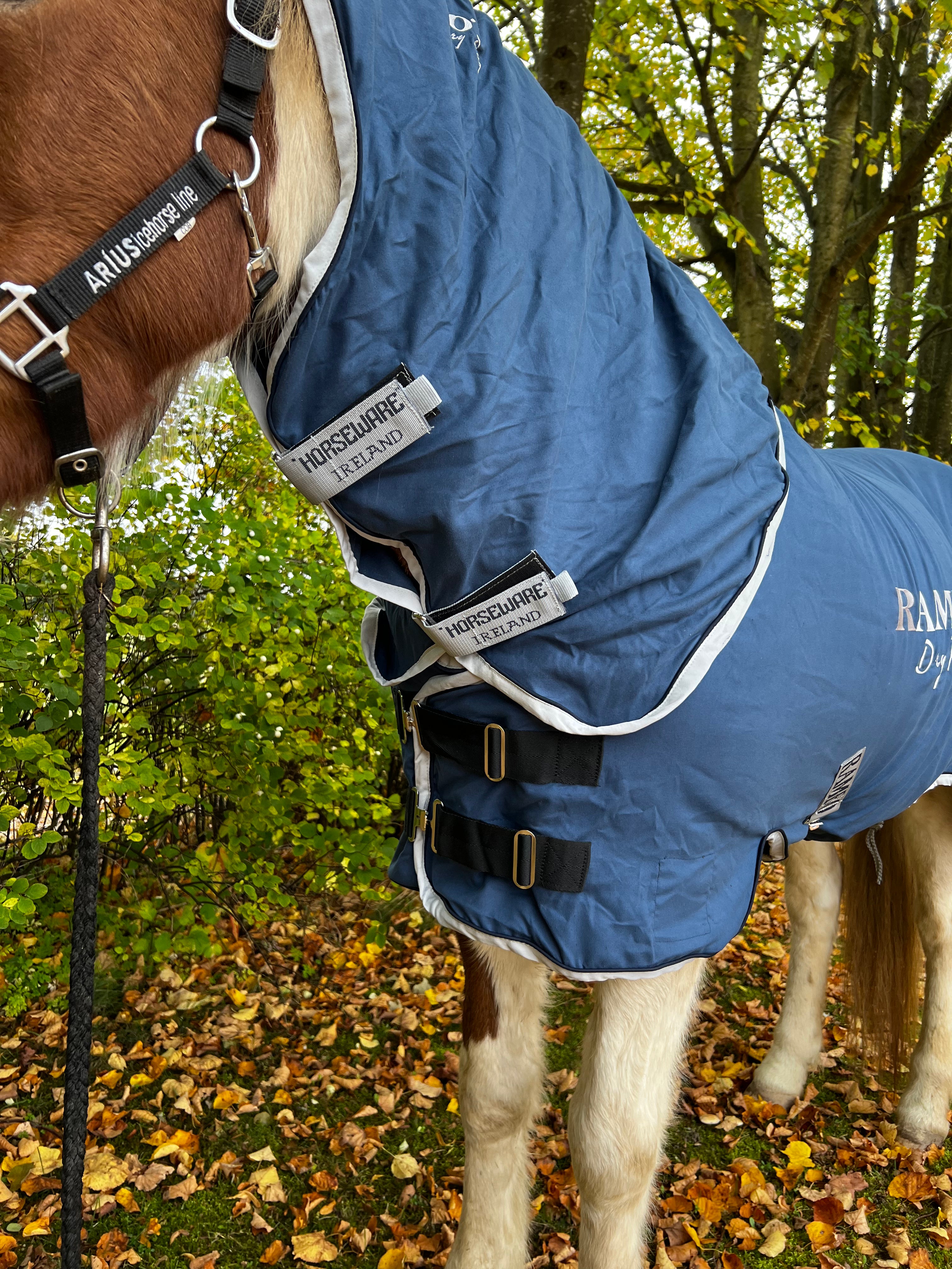 Horseware Rambo Dry Rug SUPREME, blå - Aríus Icehorse Line