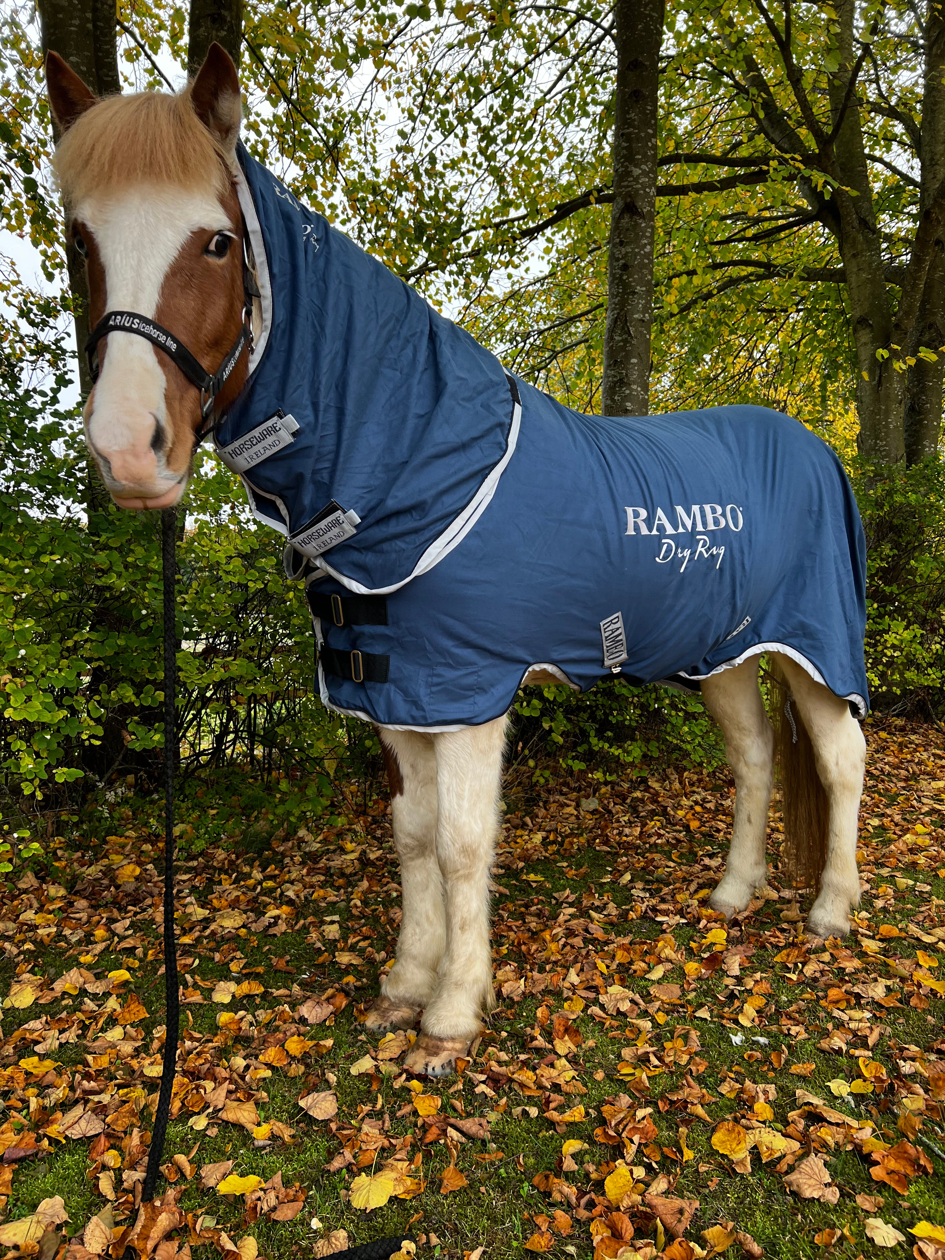 Horseware Rambo Dry Rug SUPREME, blå - Aríus Icehorse Line