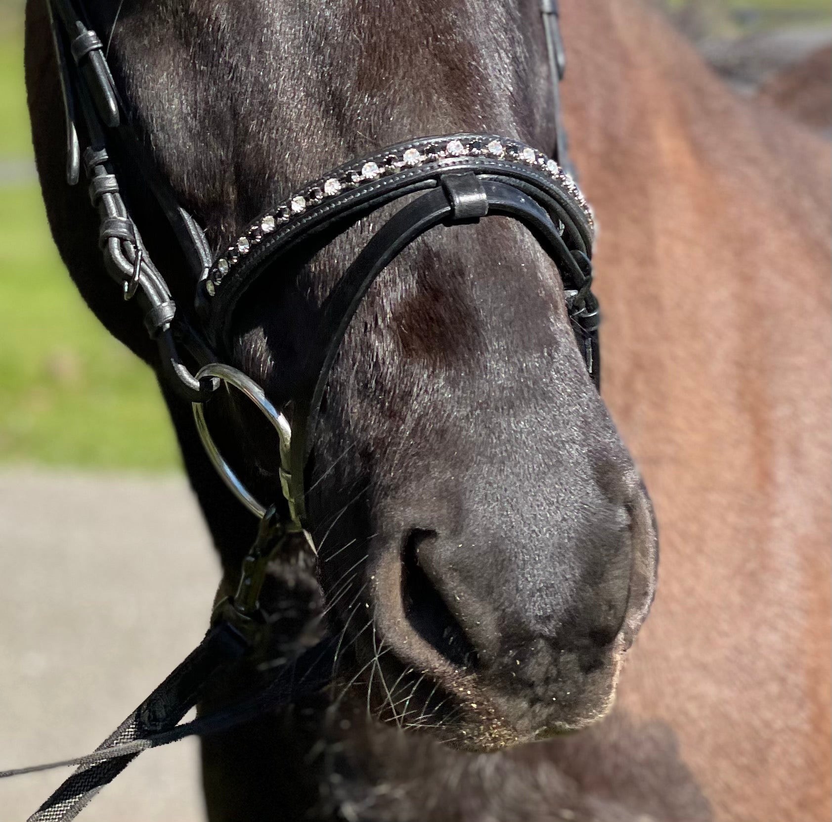 PH deluxe kombineret næserem “diamond black&white” - Aríus