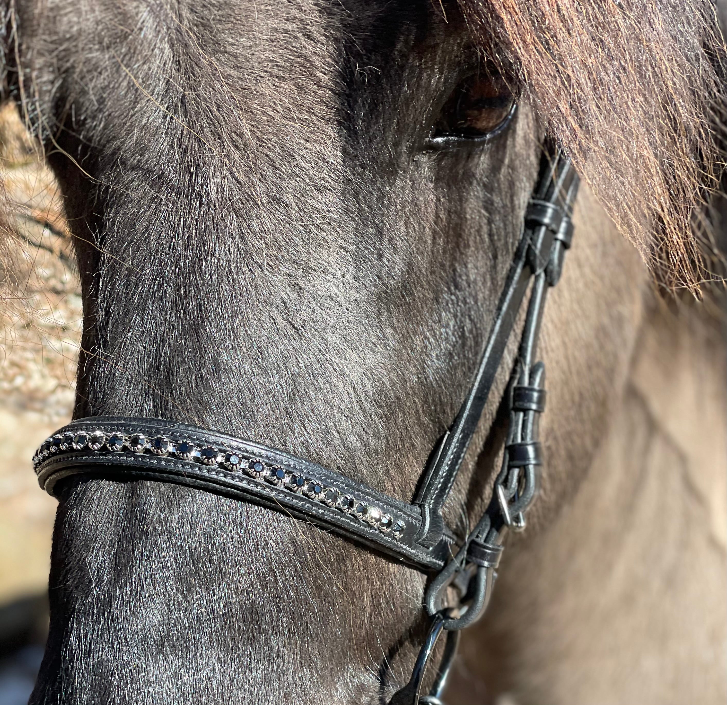 PH deluxe engelsk næserem “diamond black” - Aríus