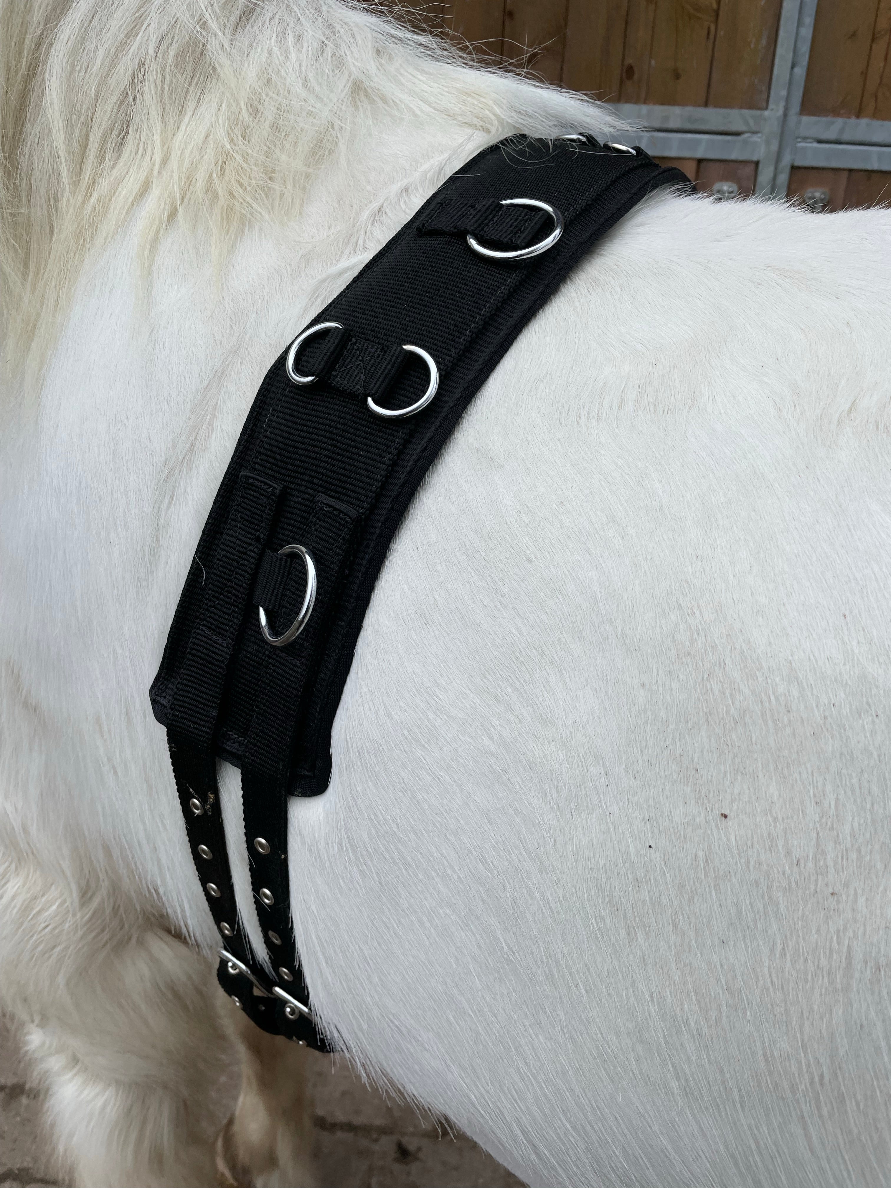 Aríus longegjord nylon - Aríus Icehorse Line