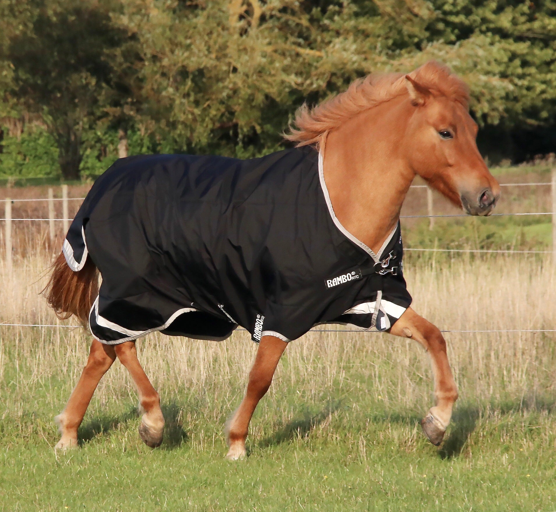 Horseware Rambo icelandic 0 grams regndækken - Aríus