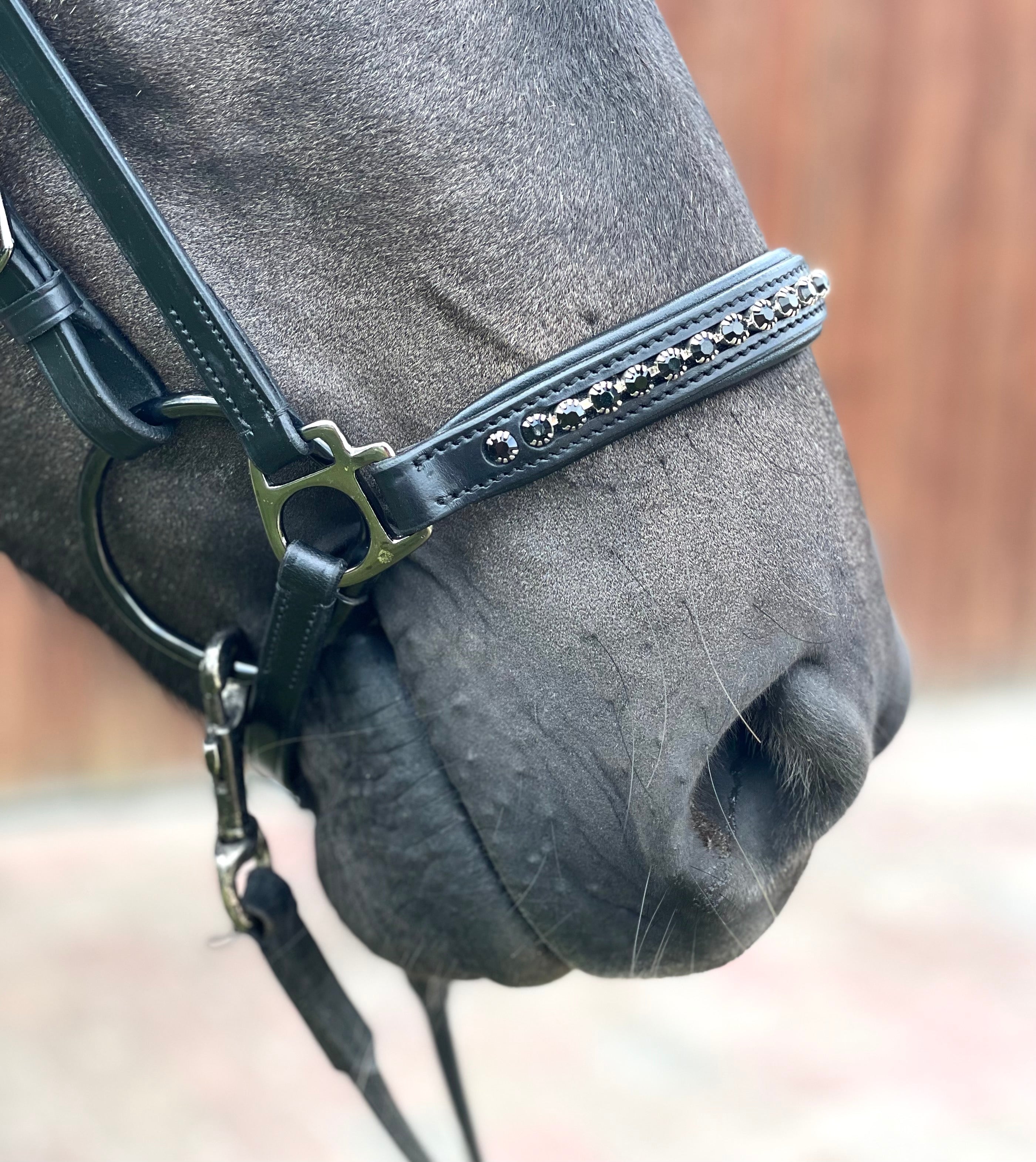 PH deluxe hannoveransk næserem “diamond black” - Aríus