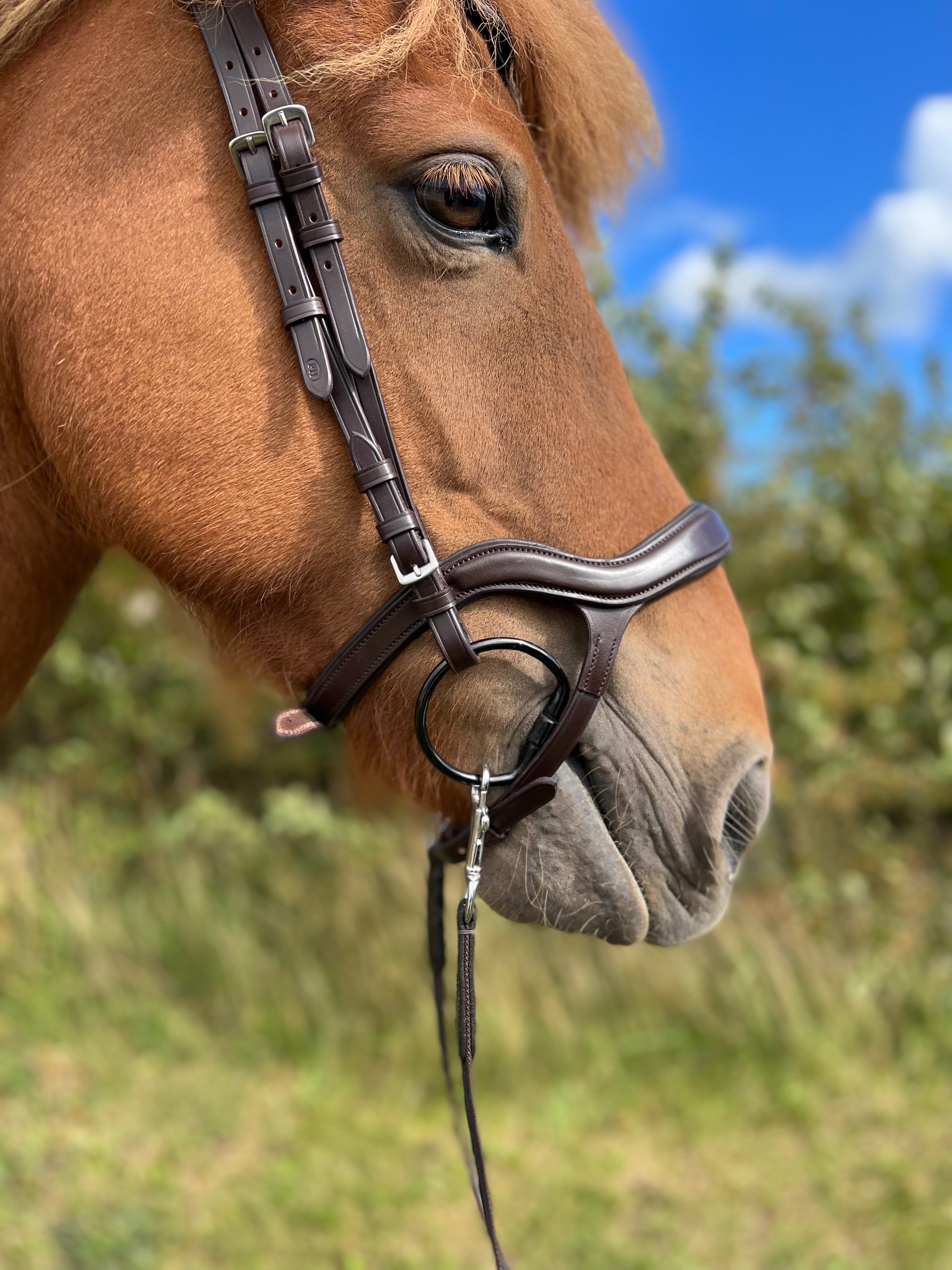 PH DELUXE NÆSEBÅND "ANATOMIC" brun - Aríus Icehorse Line