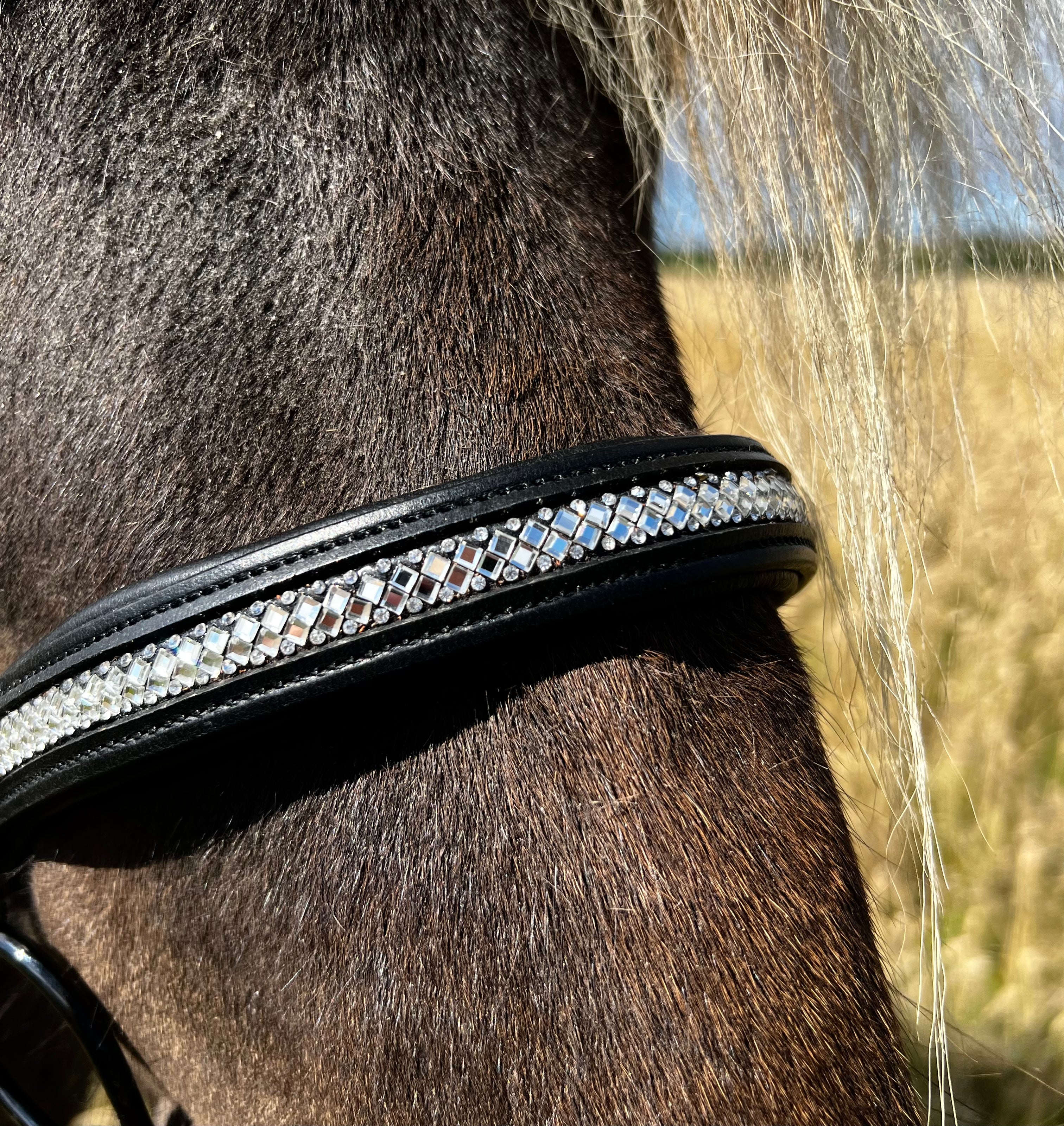 PH deluxe engelsk næsebånd diamond glitter - Aríus Icehorse Line