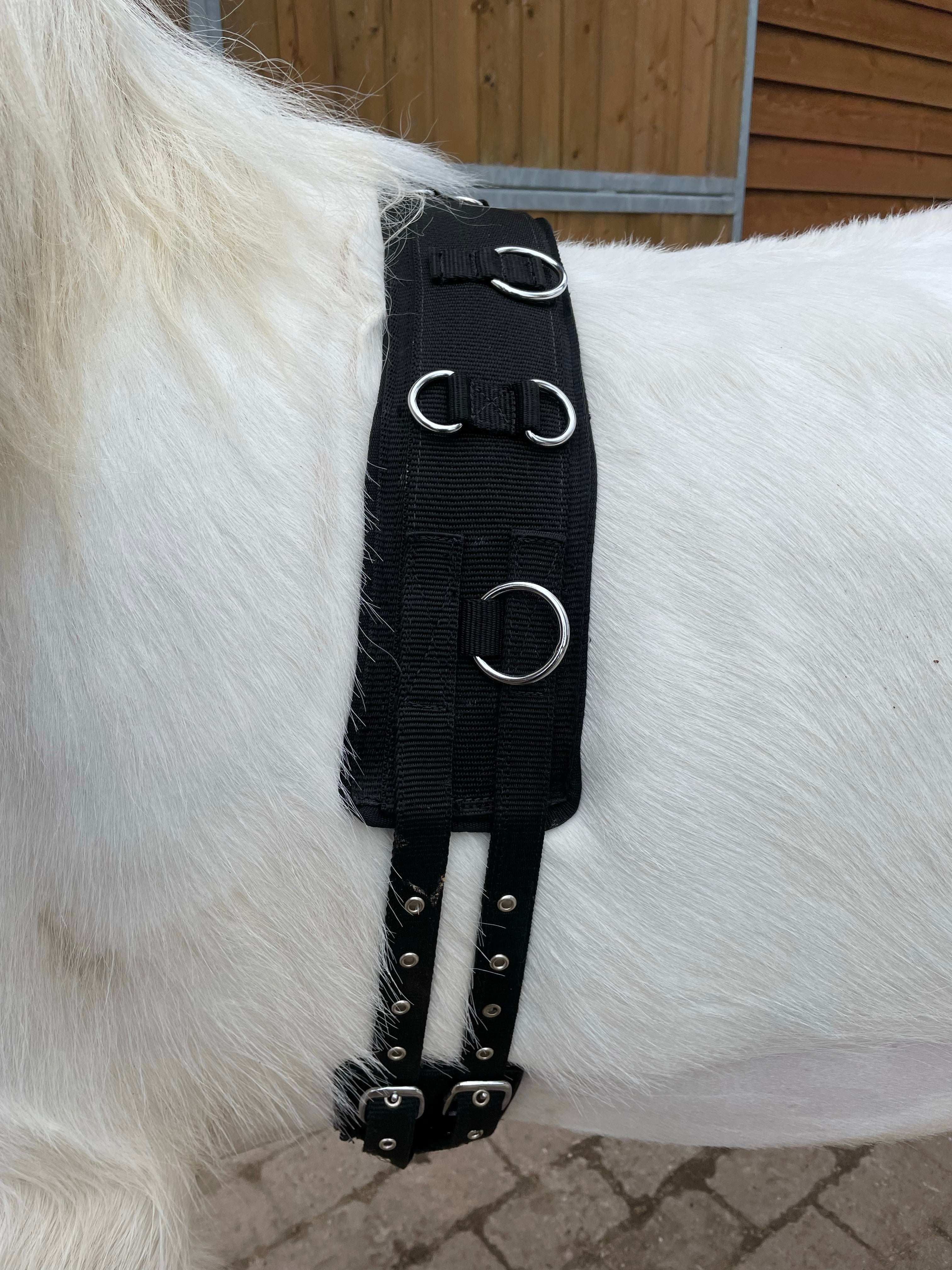 Aríus longegjord nylon - Aríus Icehorse Line