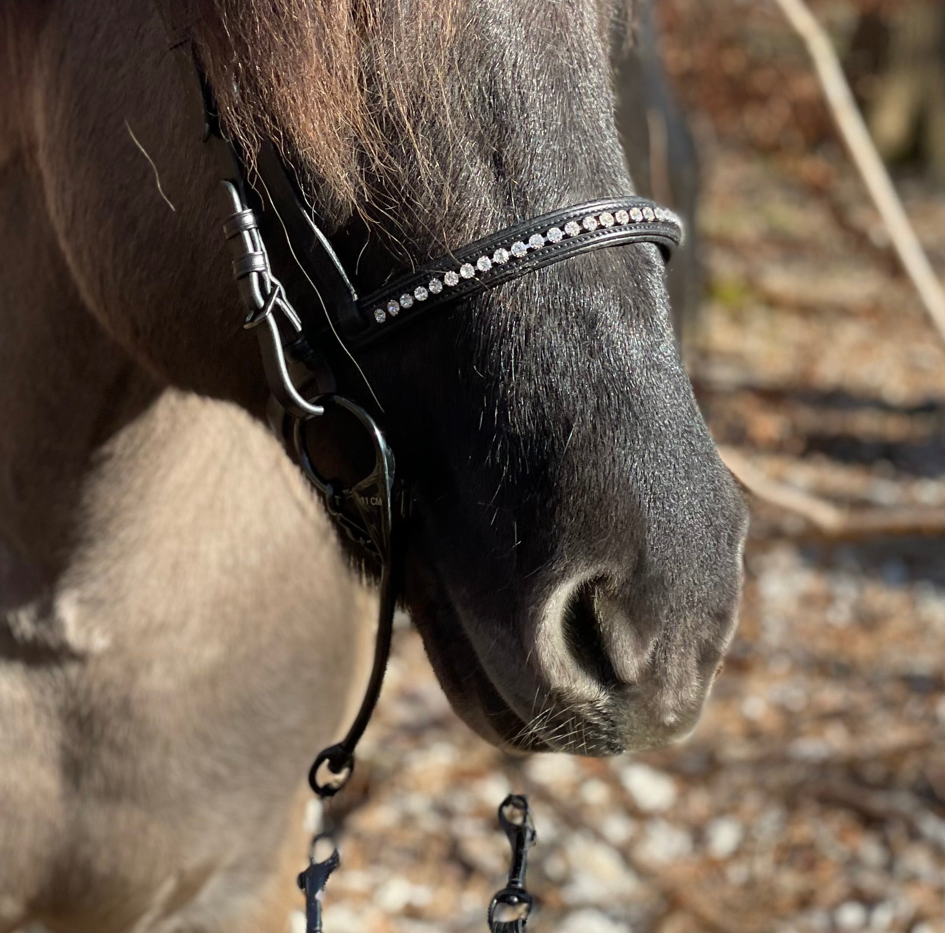PH deluxe engelsk næserem “diamond white” - Aríus