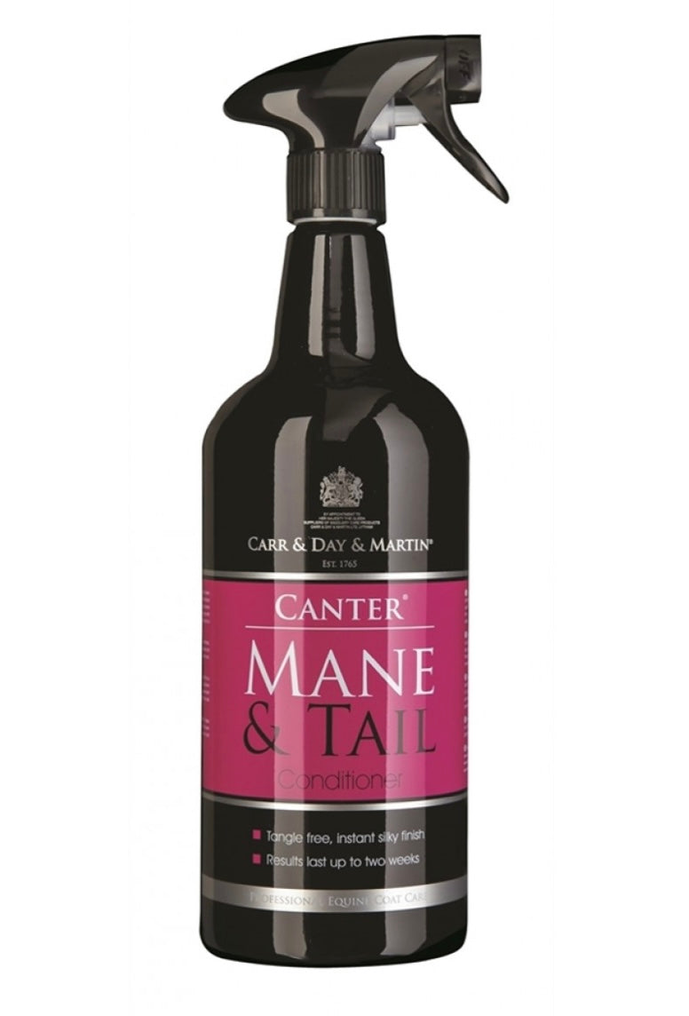 Carr&Day&Martin mane and tail STOR - Aríus Icehorse Line