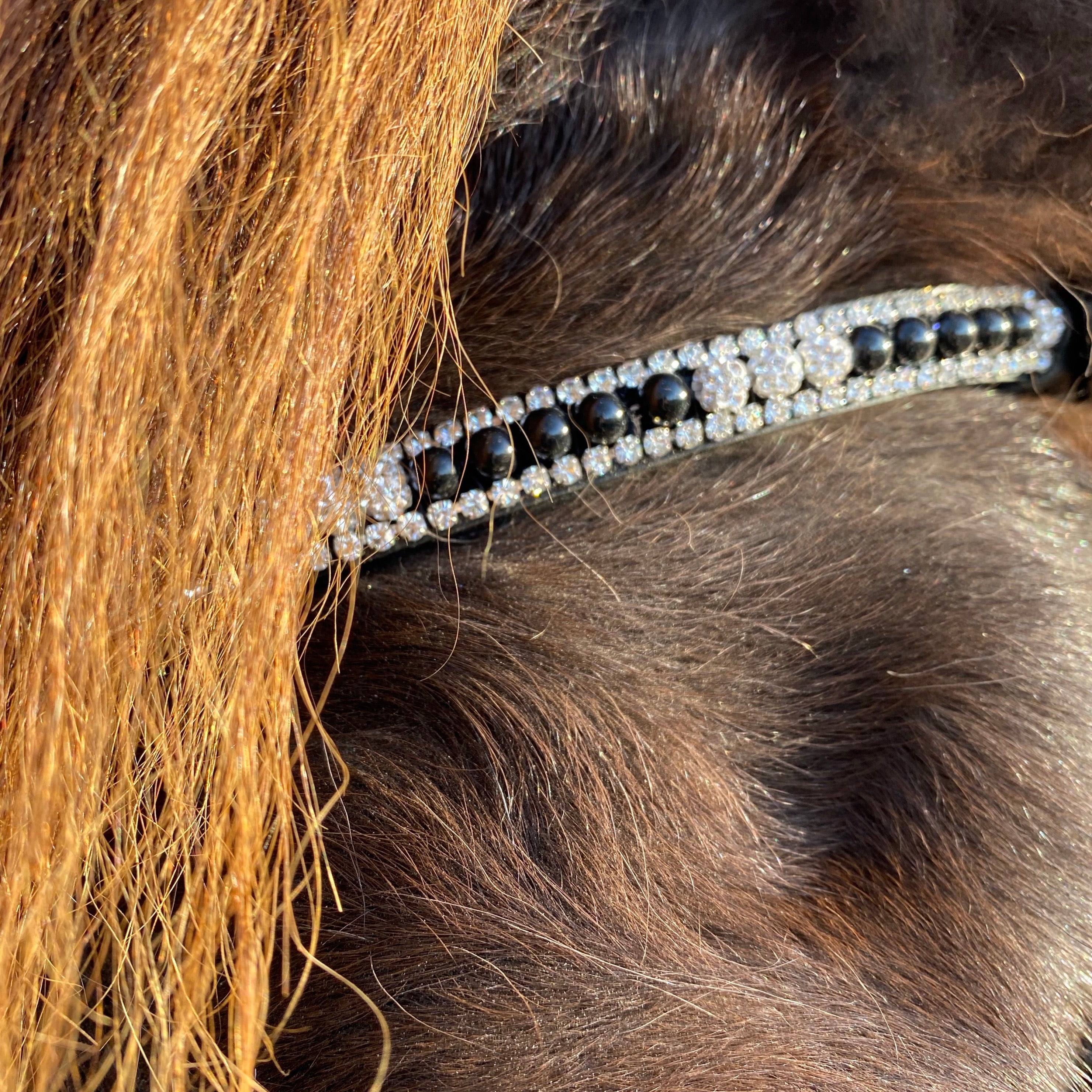 PH pandebånd black pearls and white diamonds - Aríus