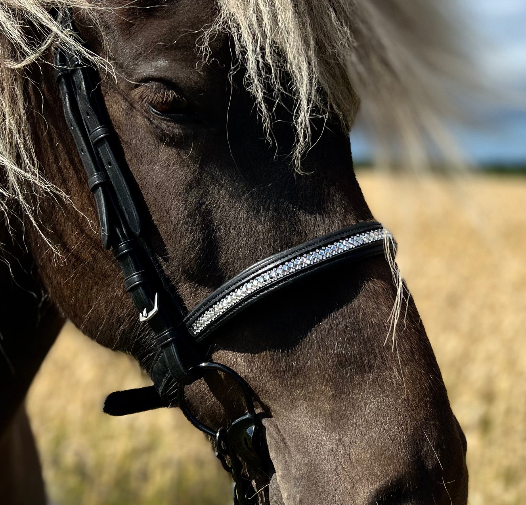 PH deluxe engelsk næsebånd diamond glitter - Aríus Icehorse Line