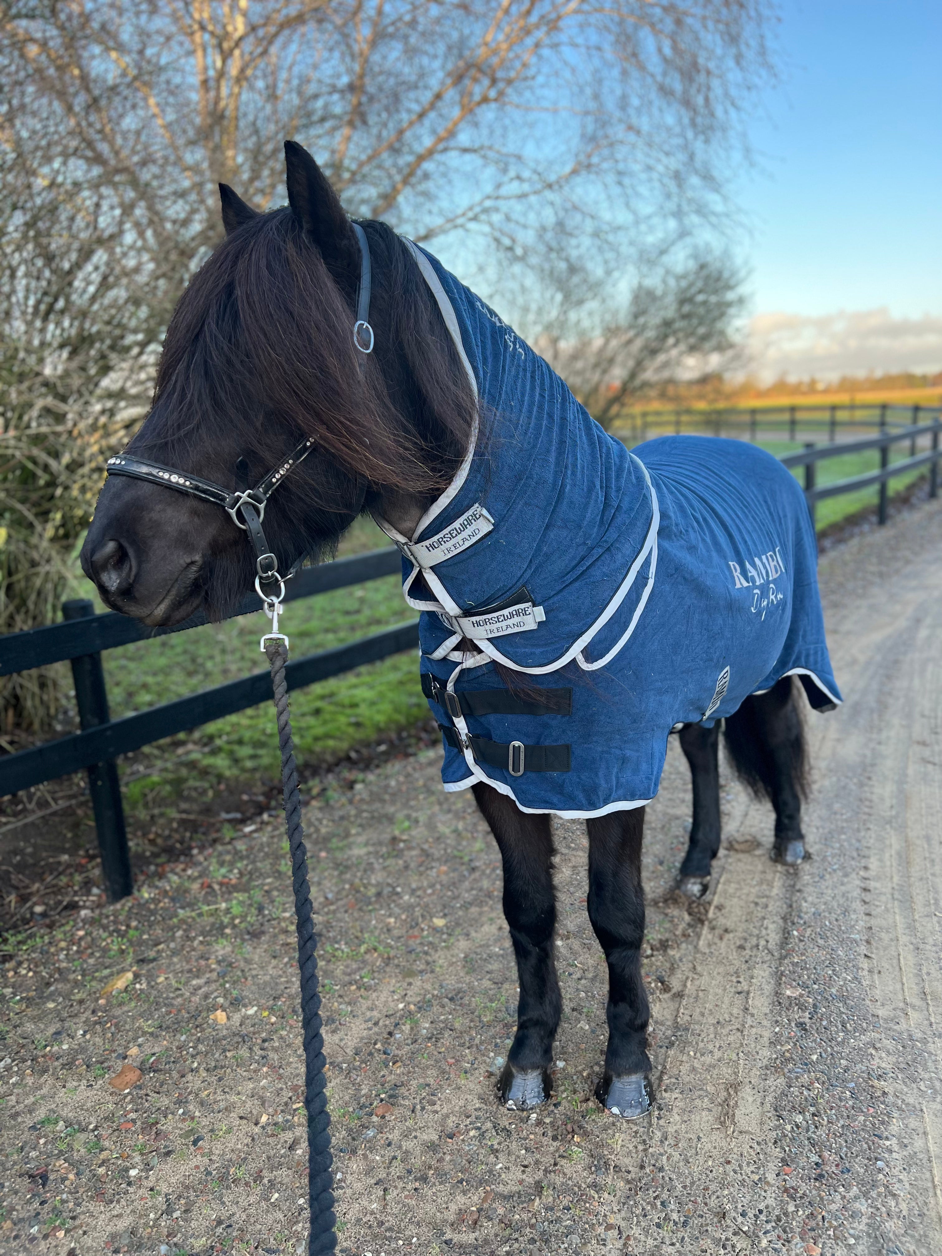 Horseware Rambo Dry Rug microfibre, blå - Aríus Icehorse Line