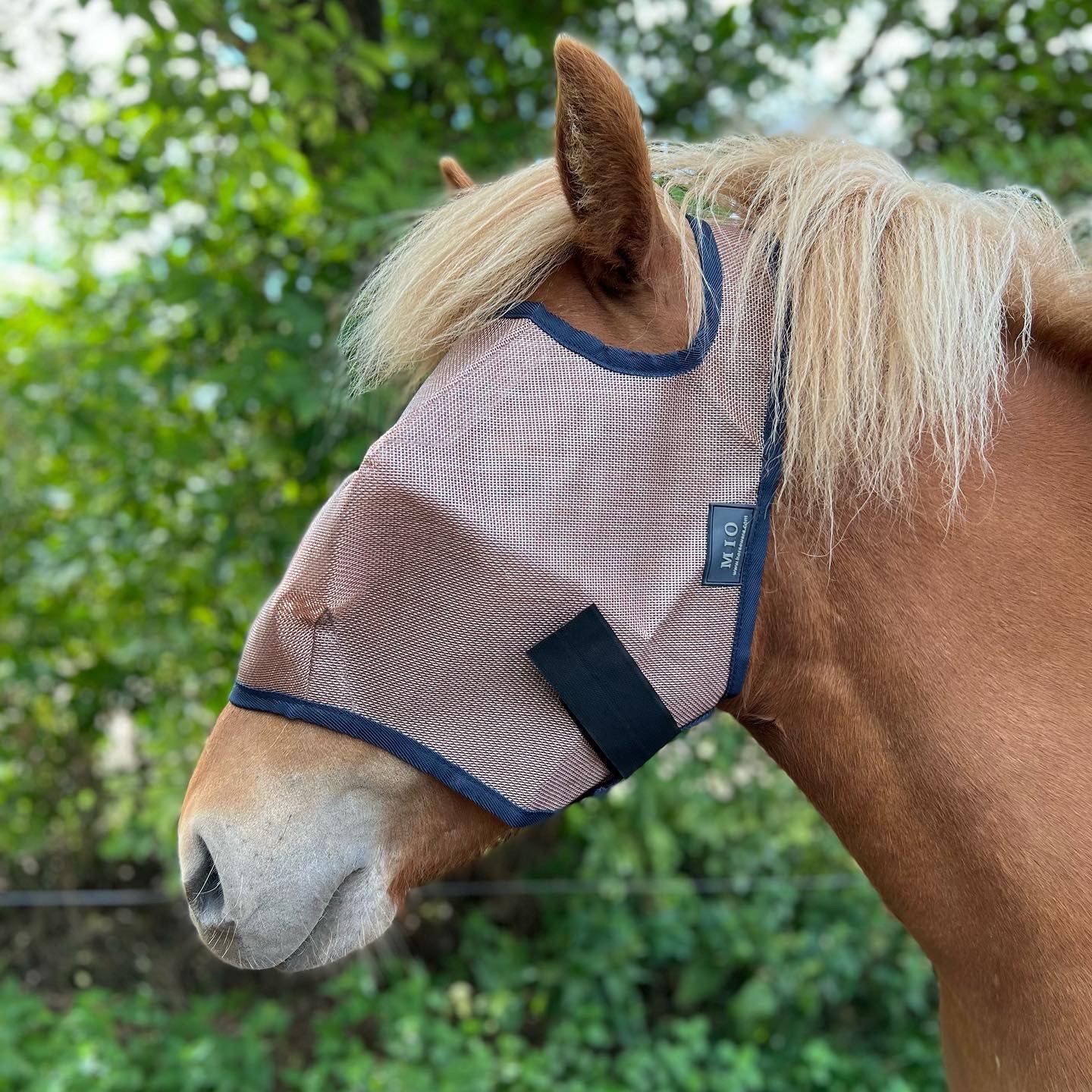 Mio fluemaske uden ører - Aríus Icehorse Line